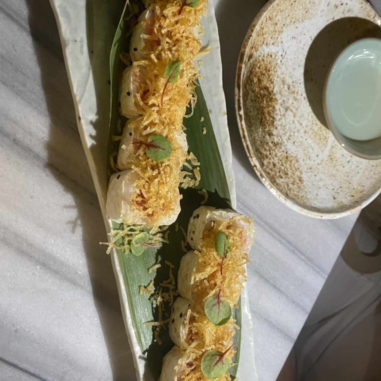 Sushi Rolls - Terminator