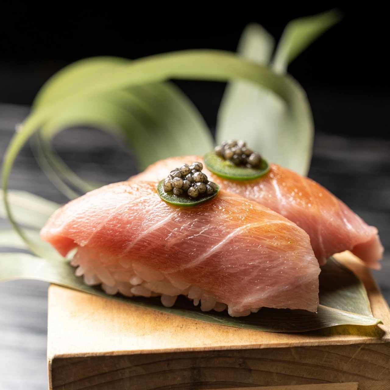 O-Toro