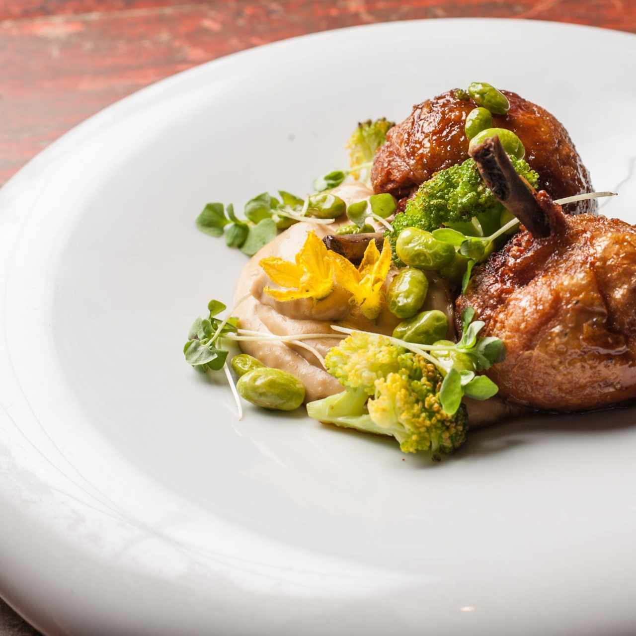 Pollo de Jardín
