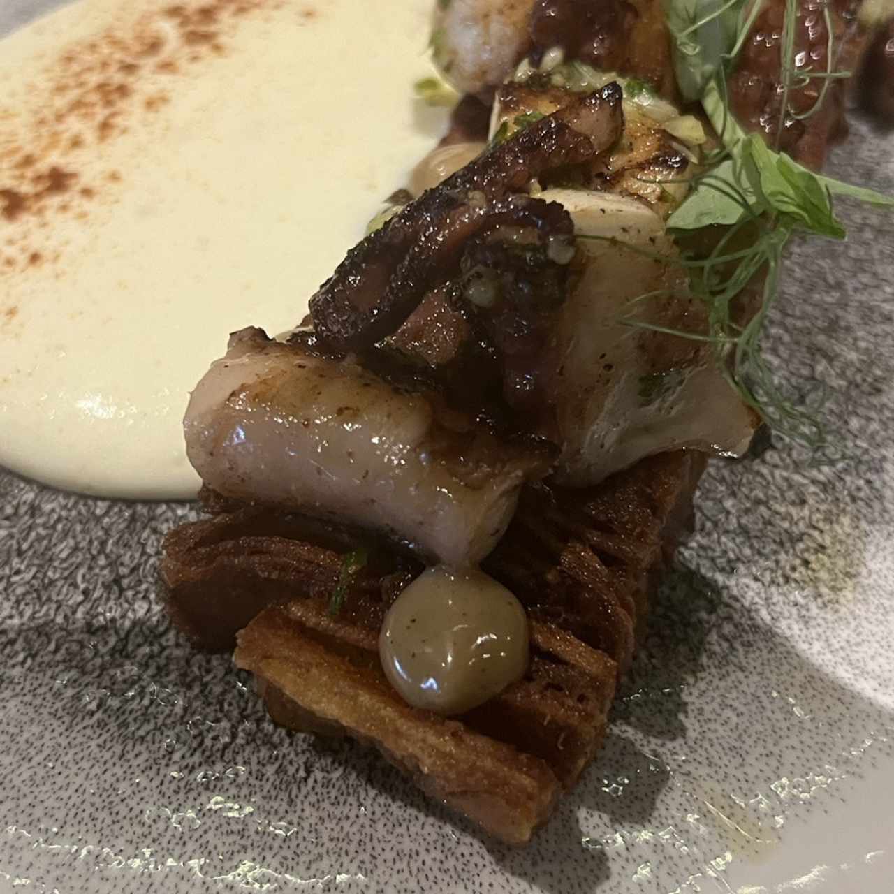 Pulpo 