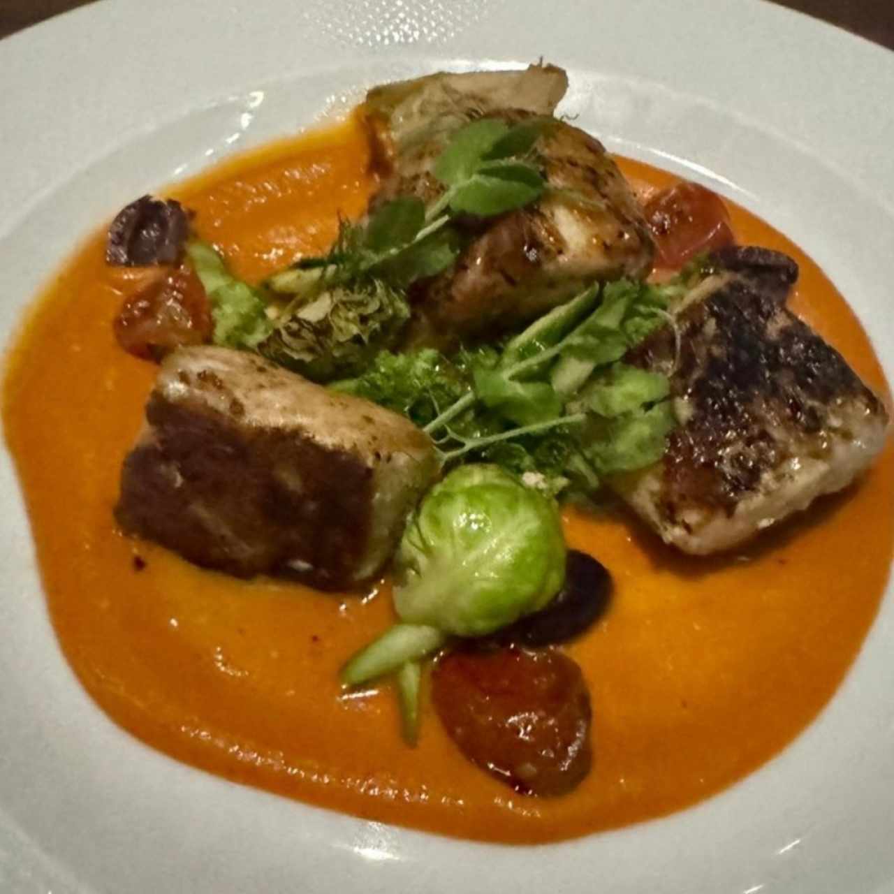 Pescados - Corvina In Brodo