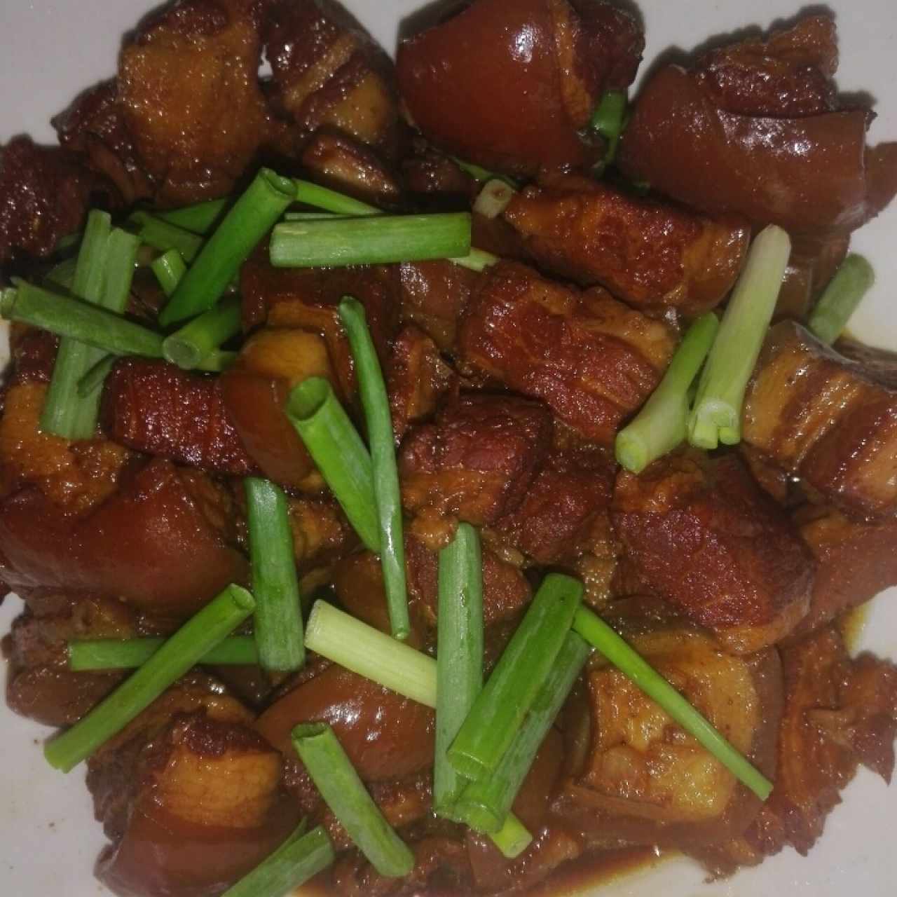 puerco asado en salsa rojo