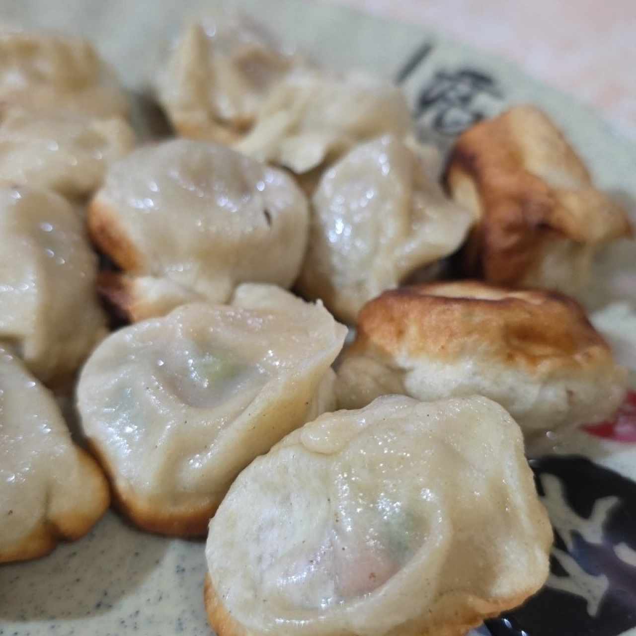 Dumpling (15 unidades) - Cerdo con culantro