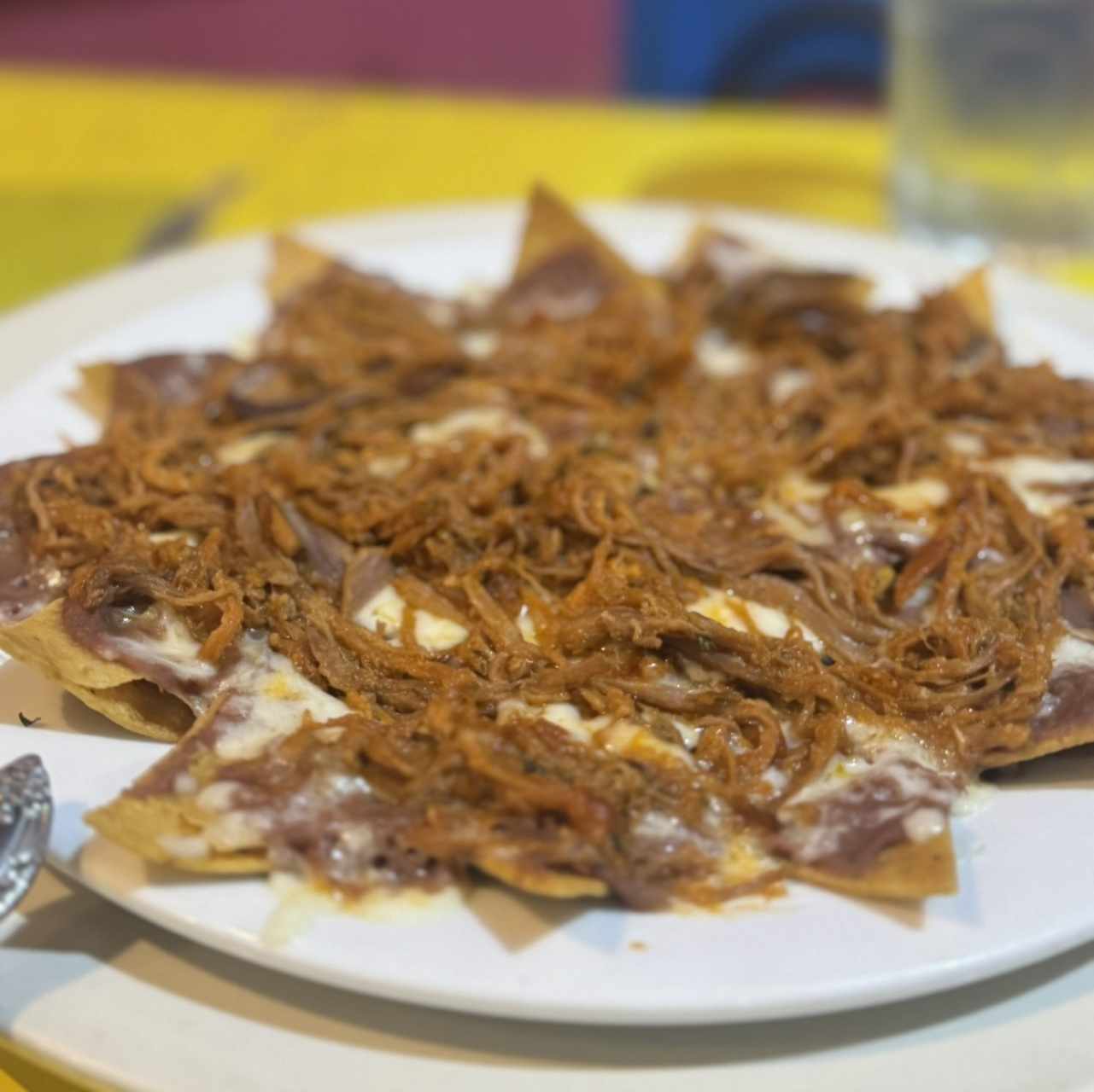 Nachos - Nacho Mixto (ropa vieja)