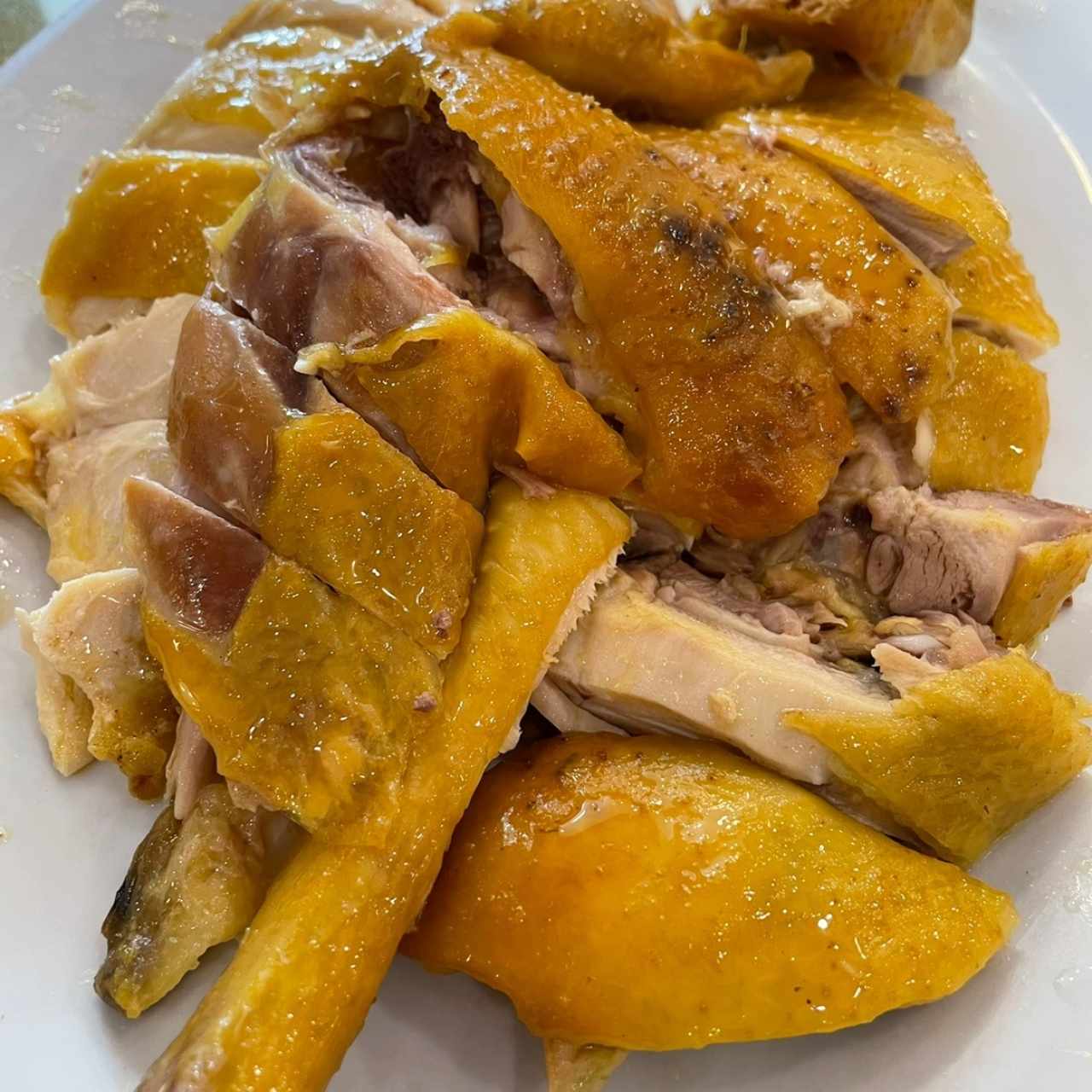 Gallina 