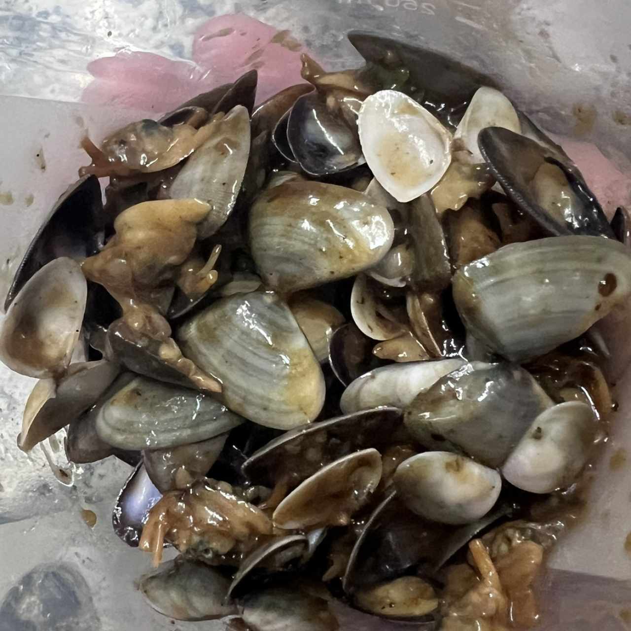 Almeja de Salsa Frijoles Negro