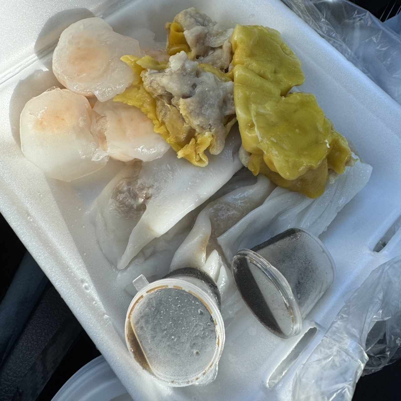 Takeout dimsum