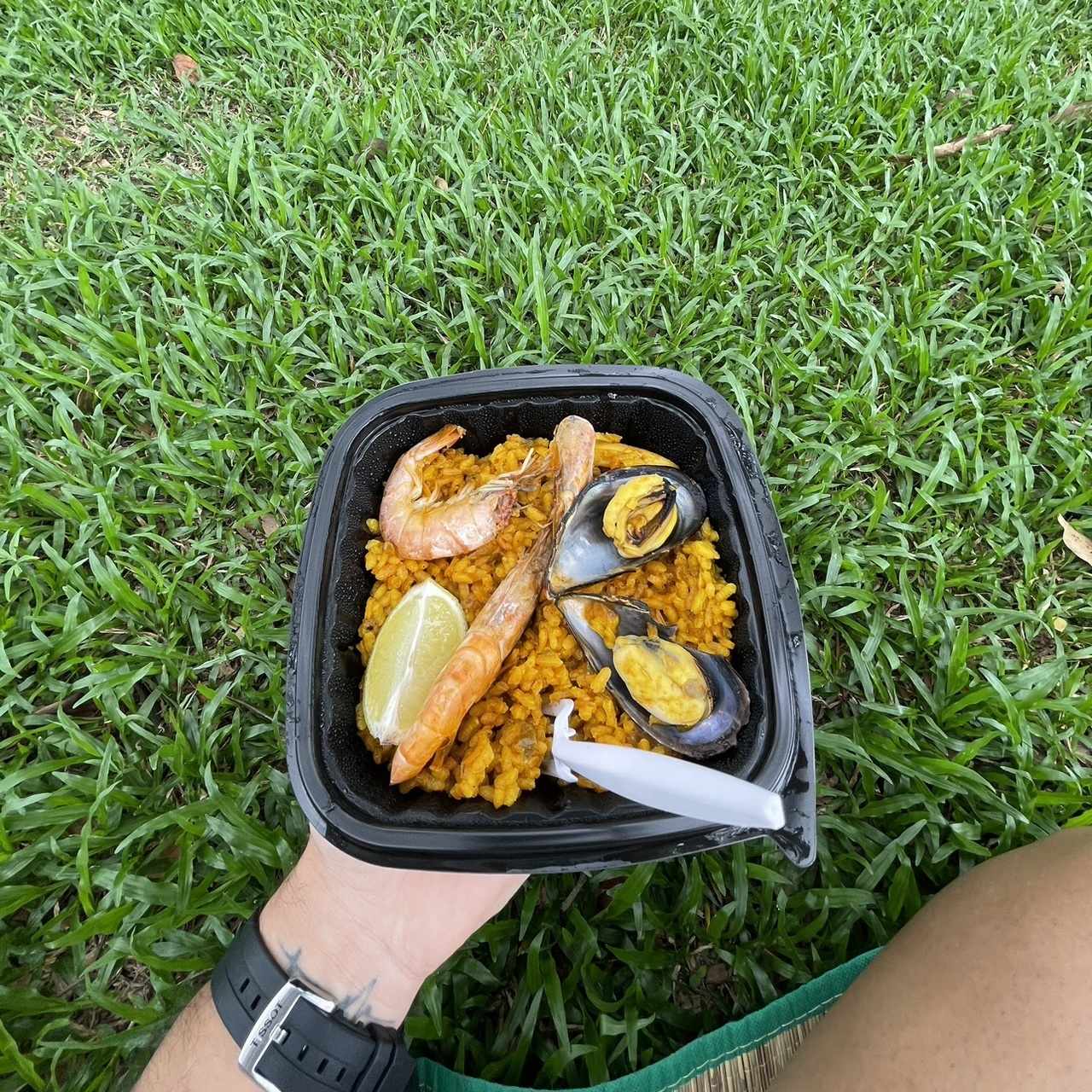 Paella (carne. mariscos o mixta)