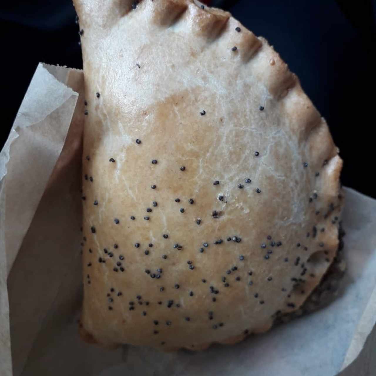 Empanadas - Hongos Porcini