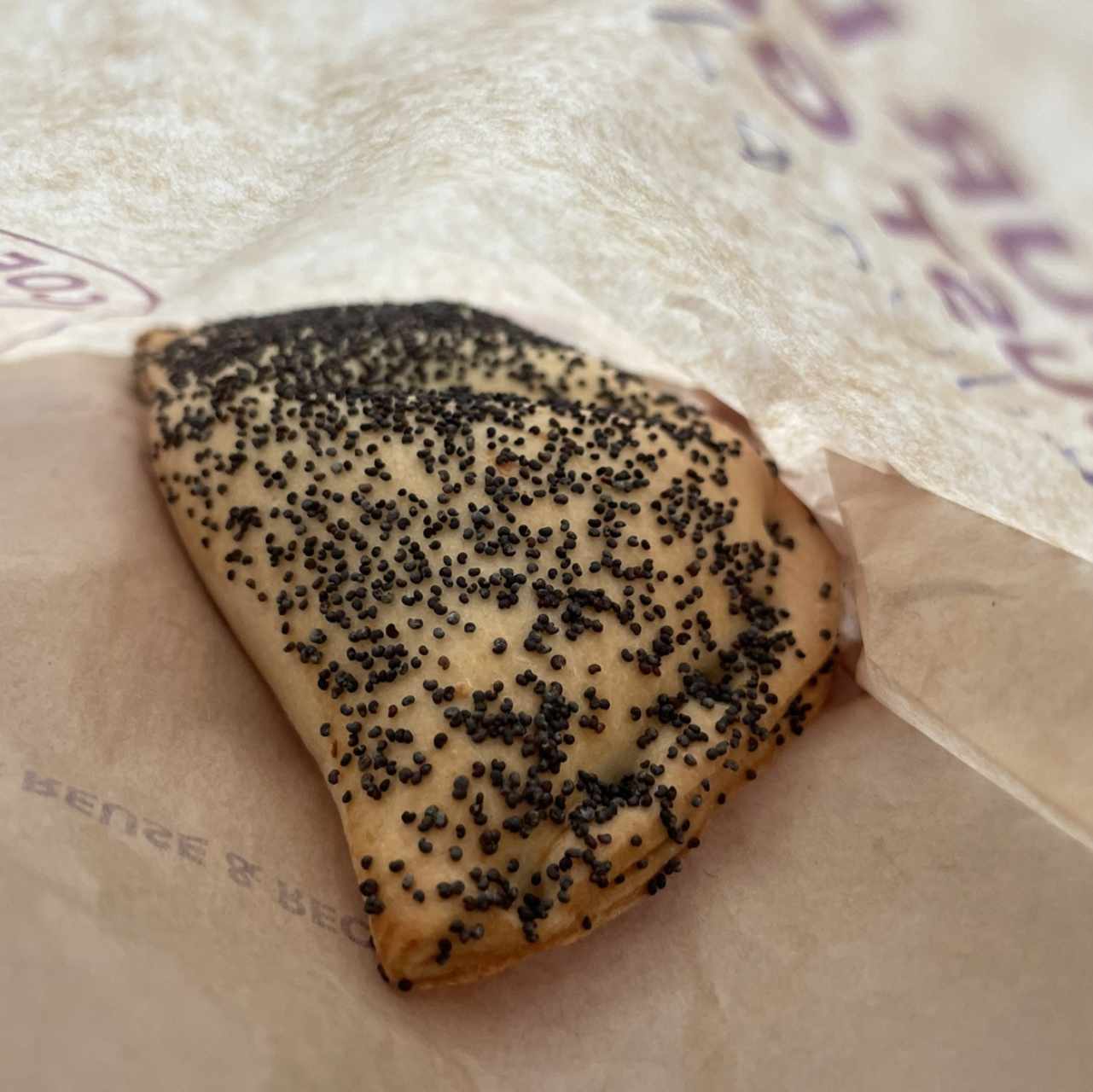 Empanada de Hongos Porcini