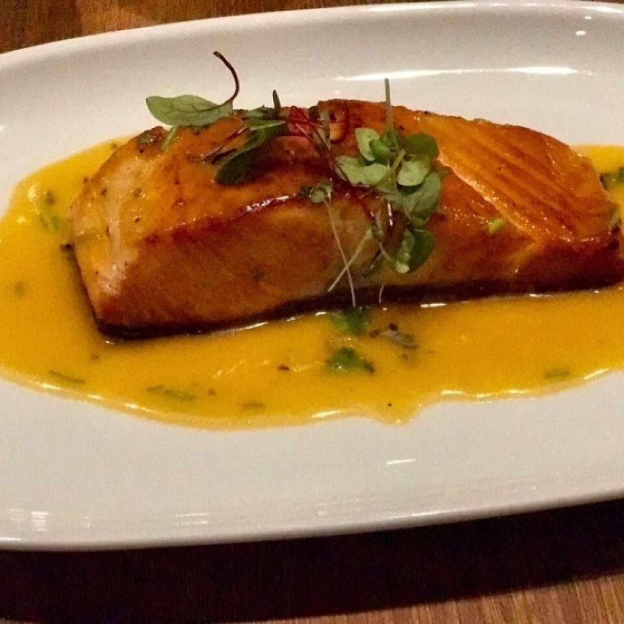 Salmon