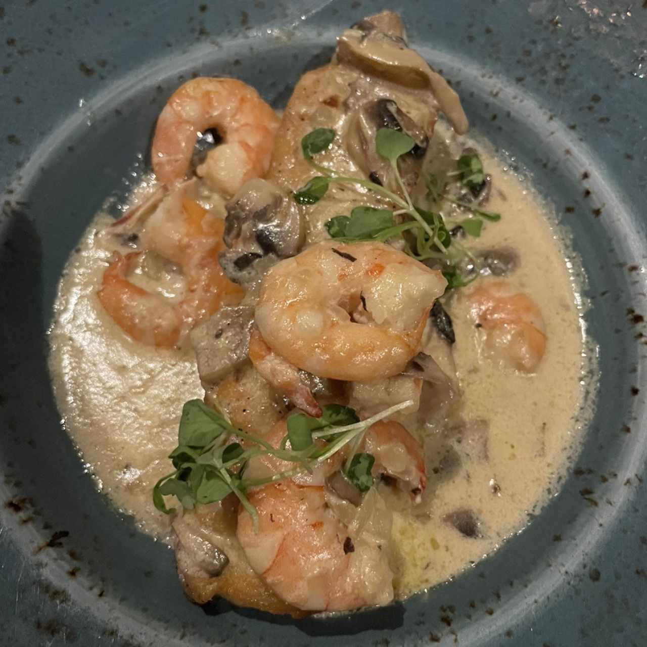 Corvina con Salsa Portobello y Camarones