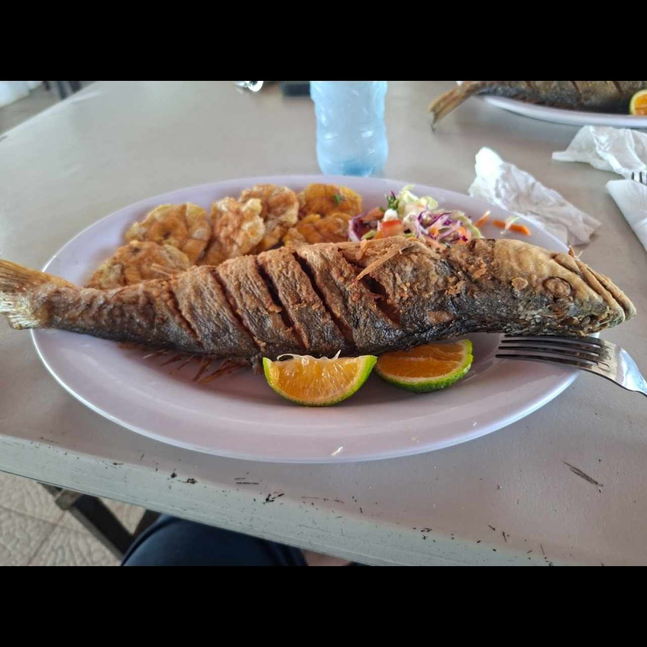 Mariscos - Corvina Frita (Entera)