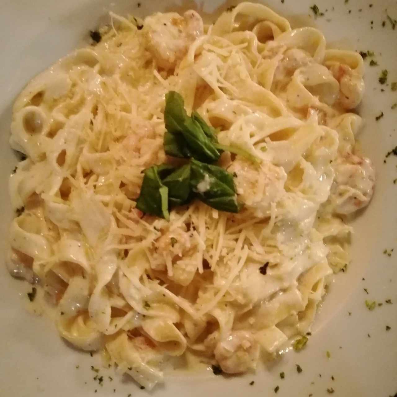 Pastas - Fetuchini Stefano