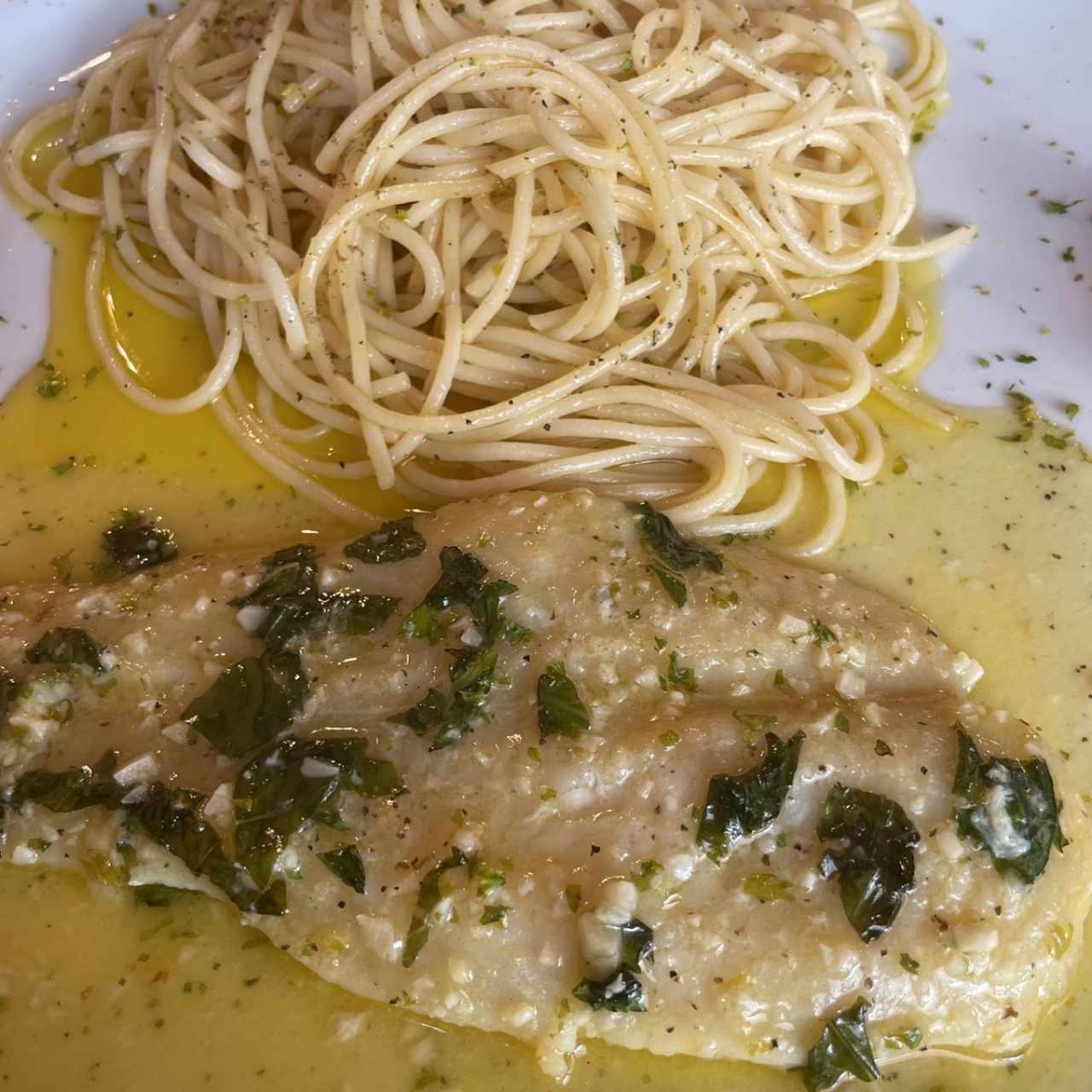 Corvina al Ajillo con pasta al óleo 