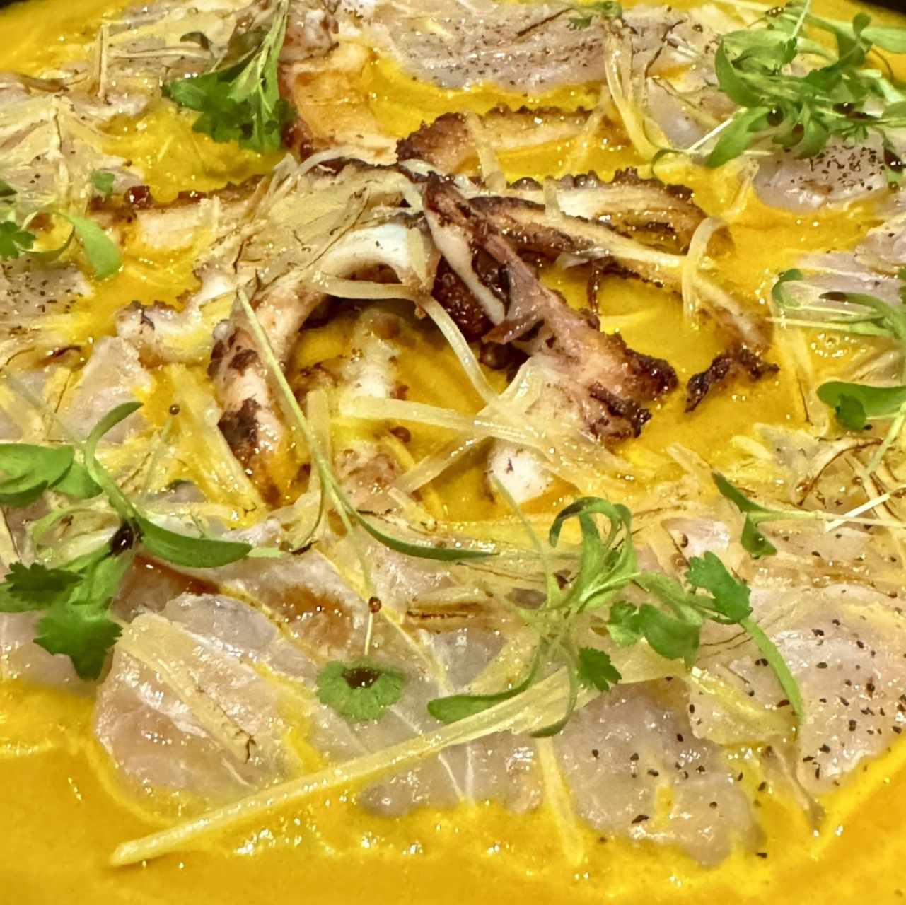 TIRADITO PRIMAVERA