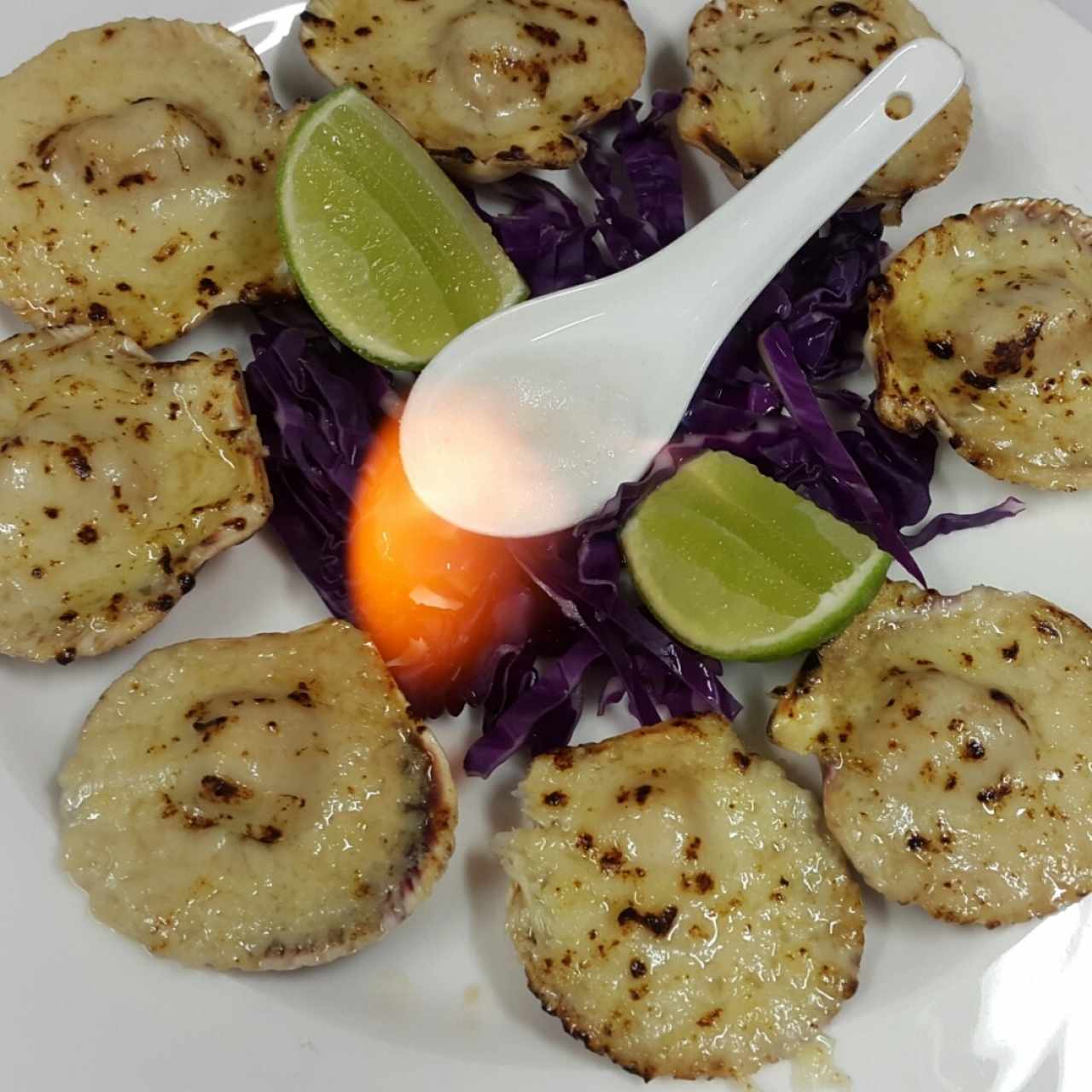 conchas ala parmesana