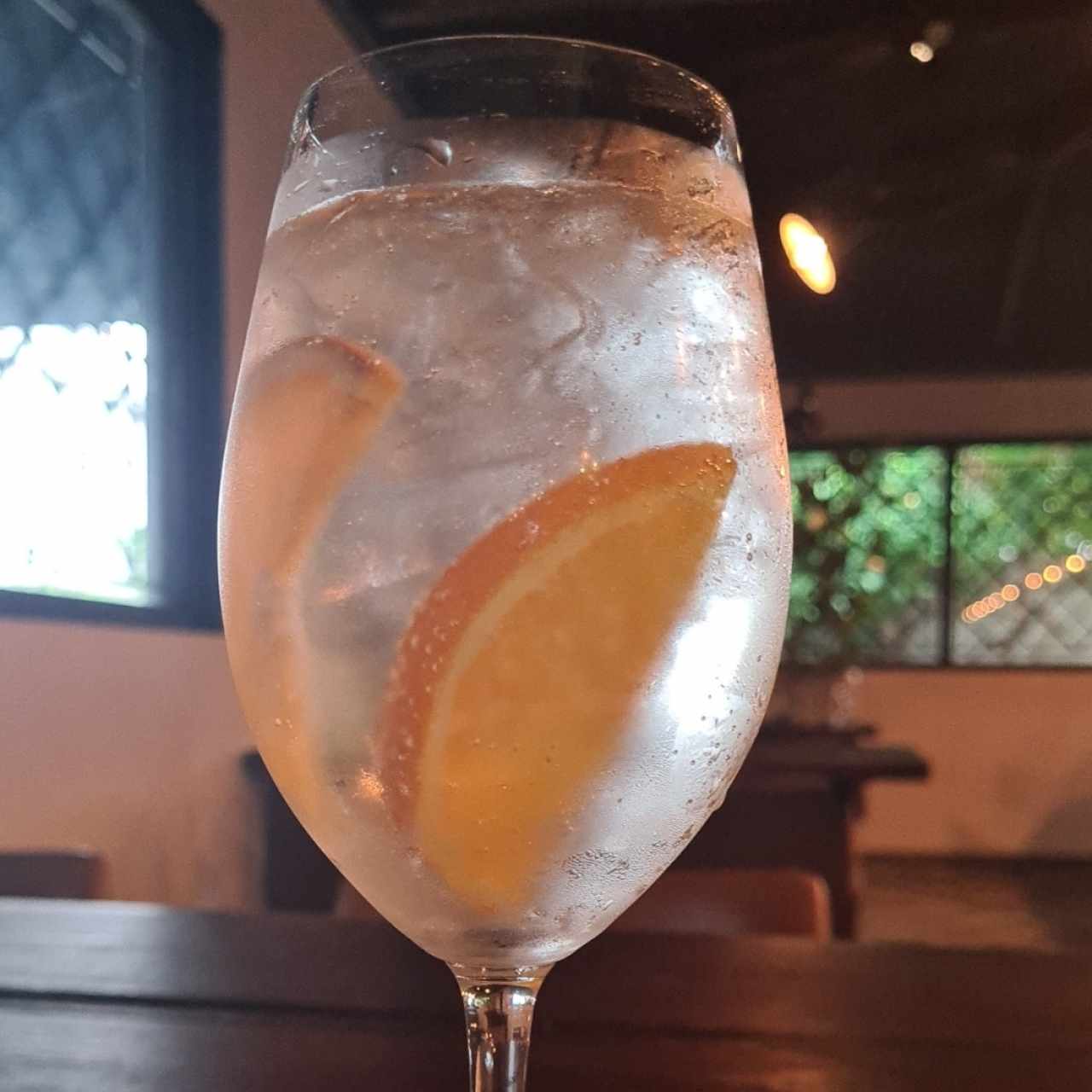 gin & tonic con maranja