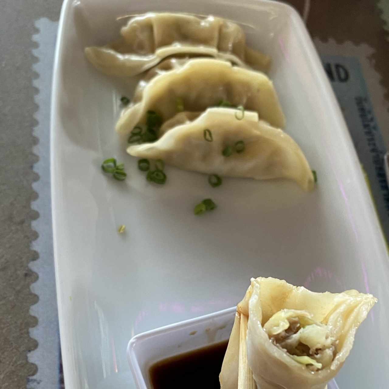 Tentadoras Entradas - Gyozas de Cerdo