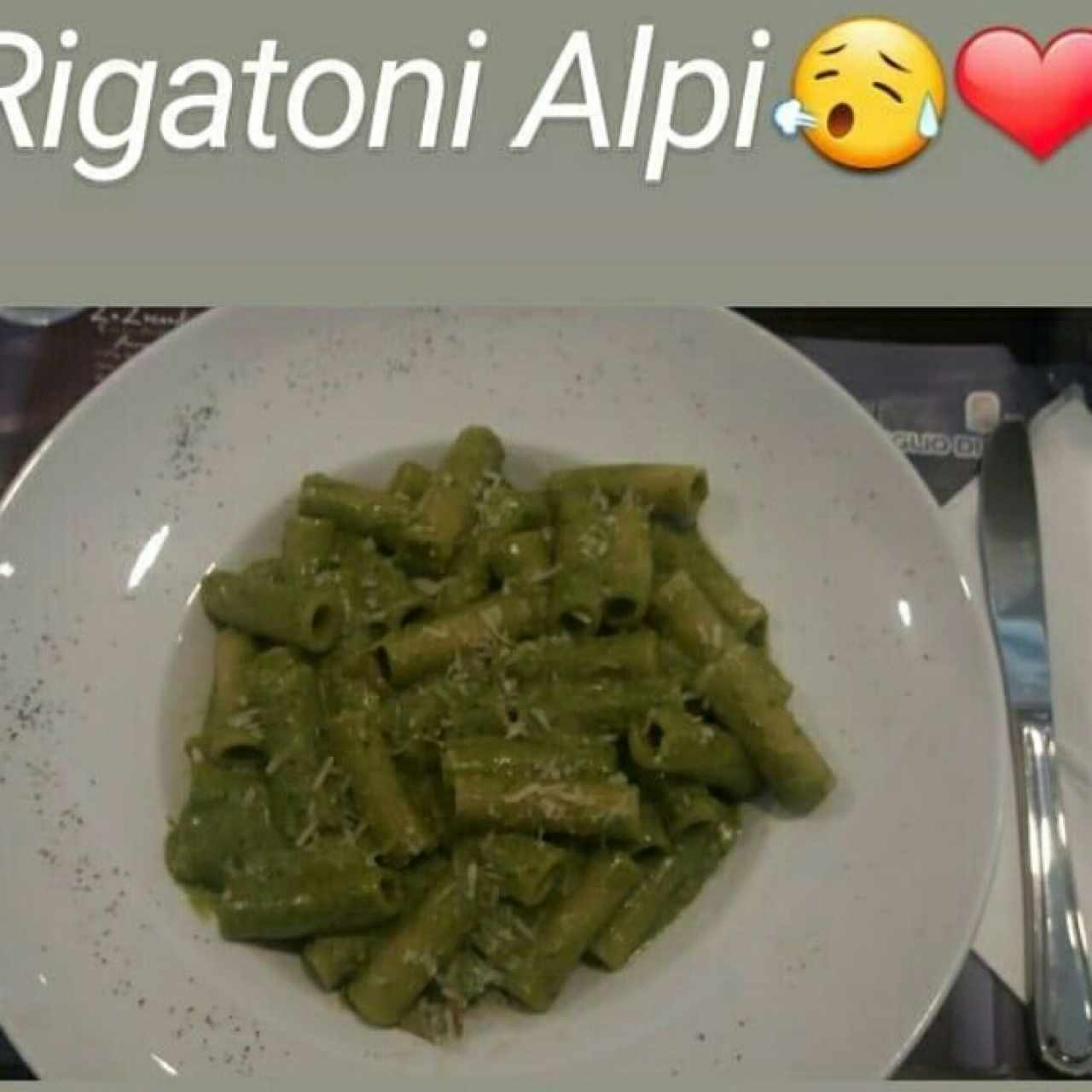 rigatoni alpi