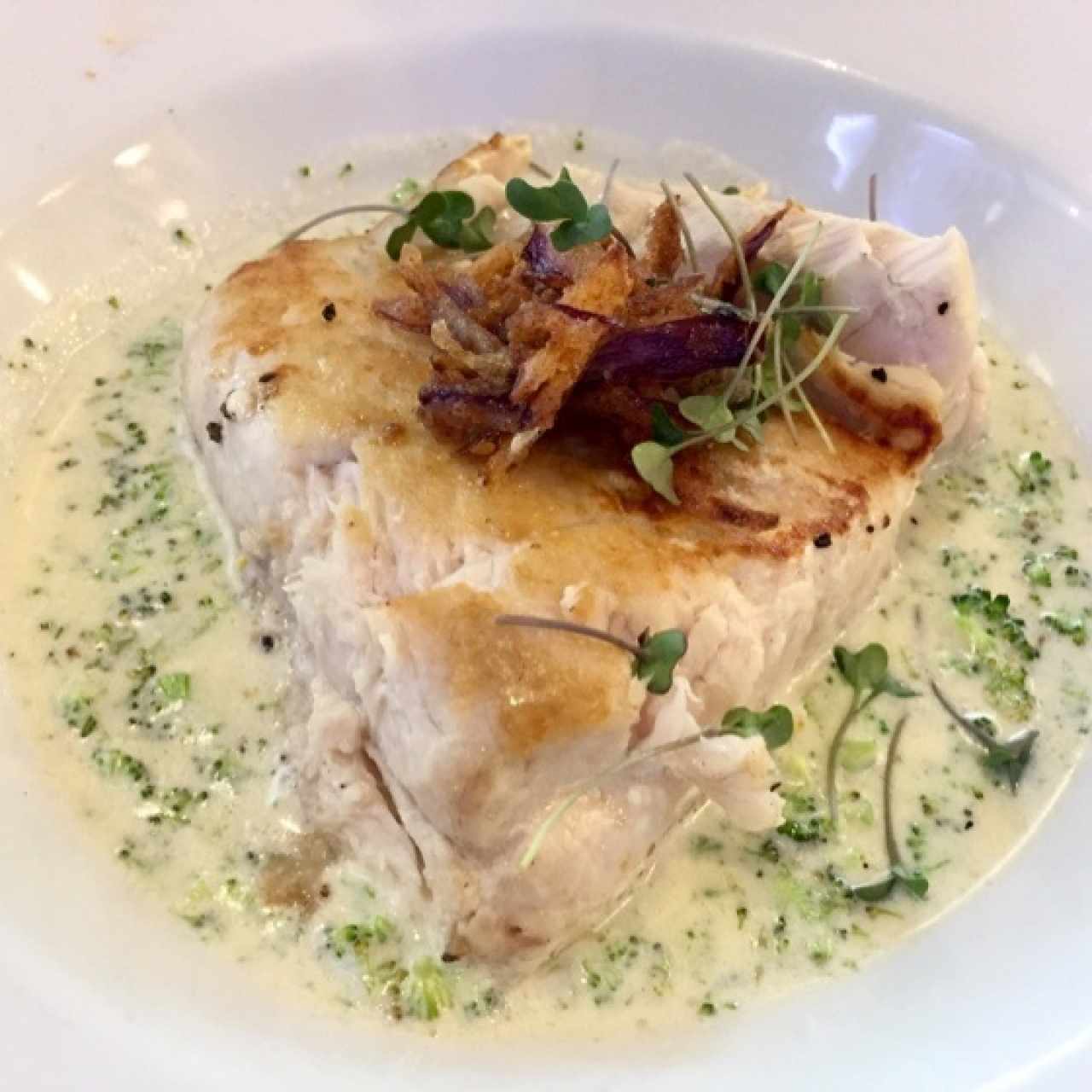 Corvina con crema de brócoli