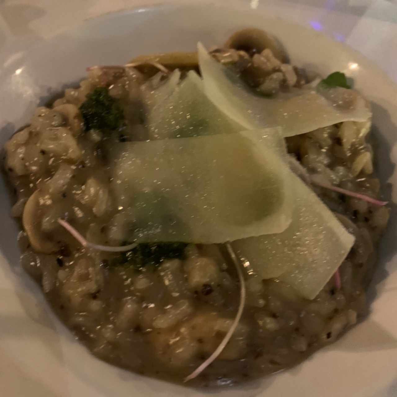 Risotto de Setas y Pate de Trufa Negra