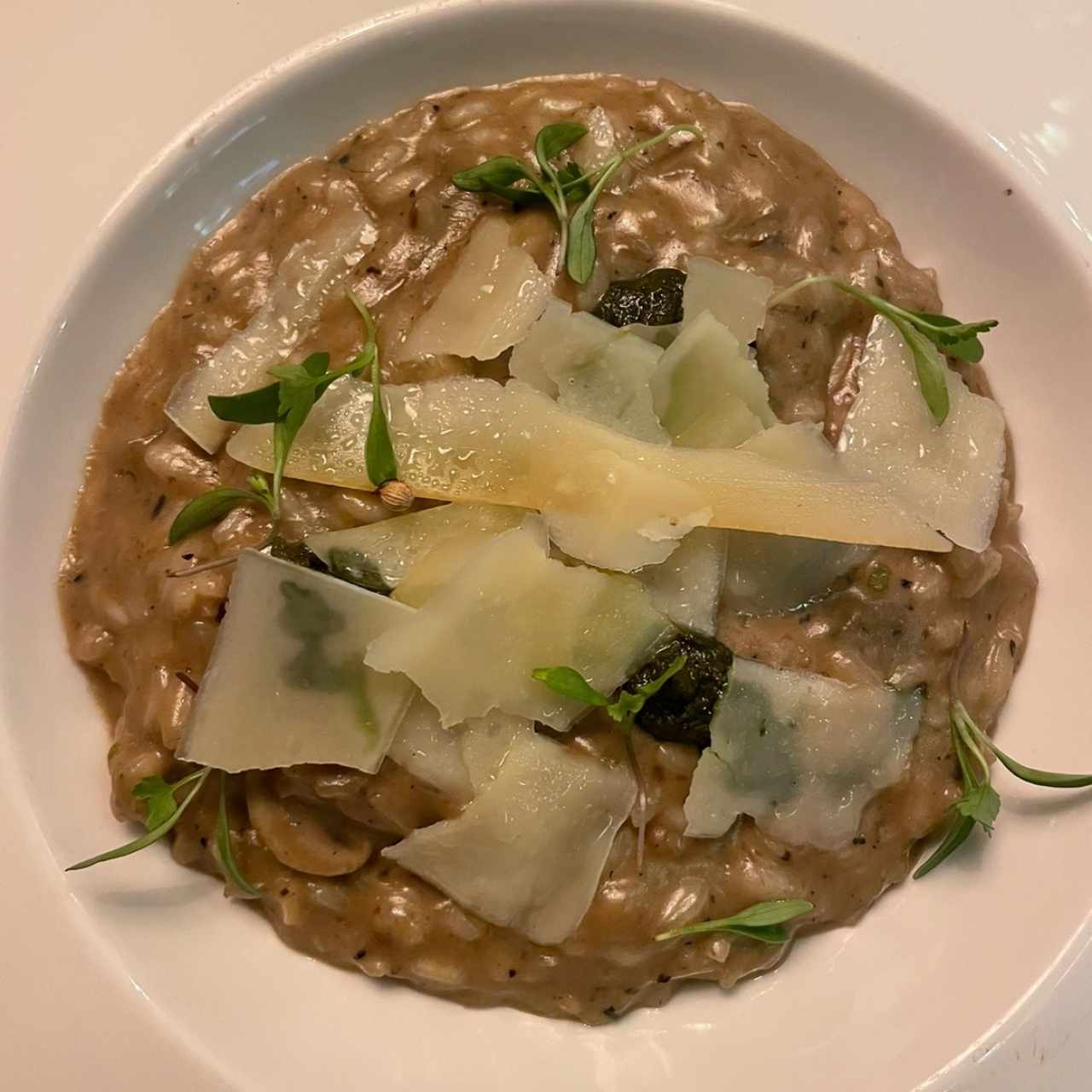 Risotto de Setas y Pate de Trufa Negra