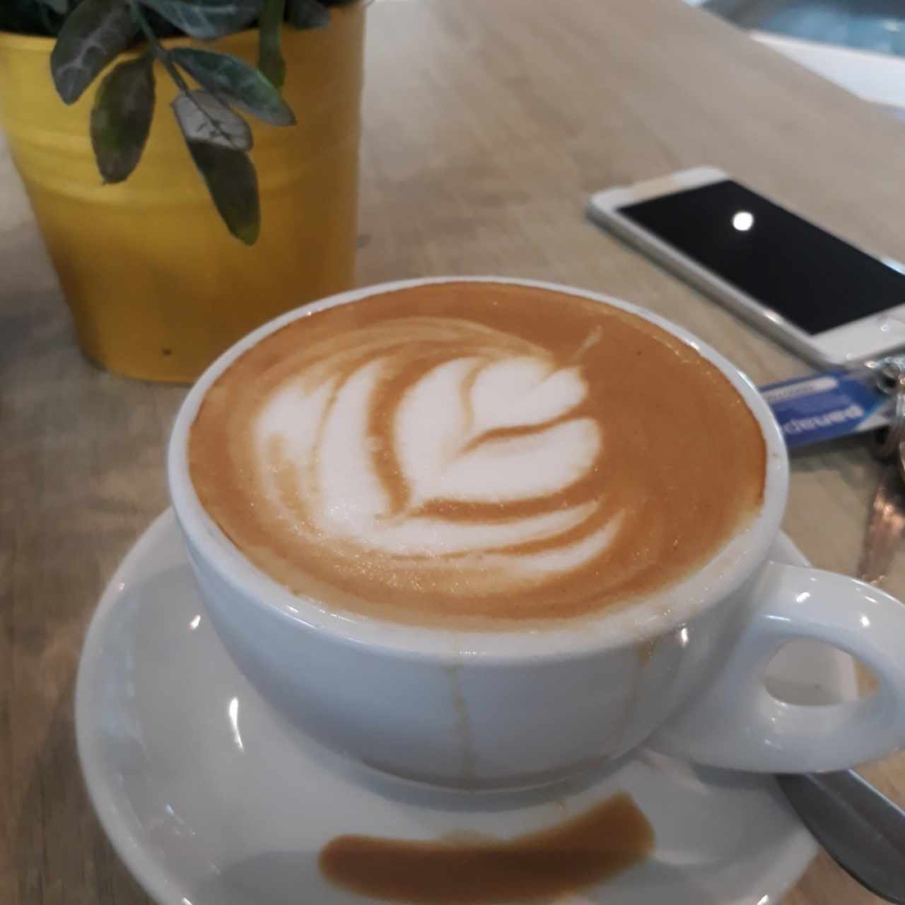Capuccino