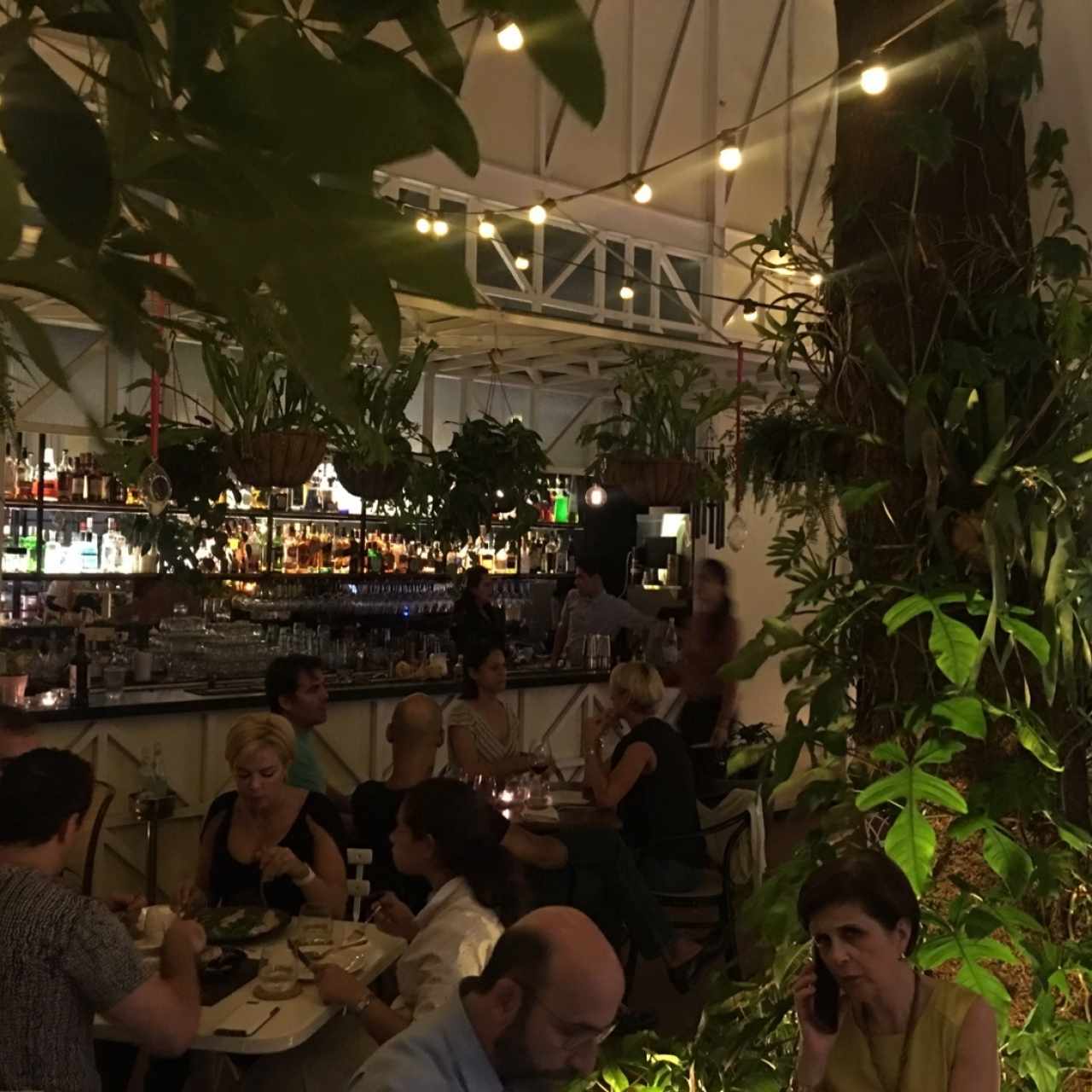 jardin interior