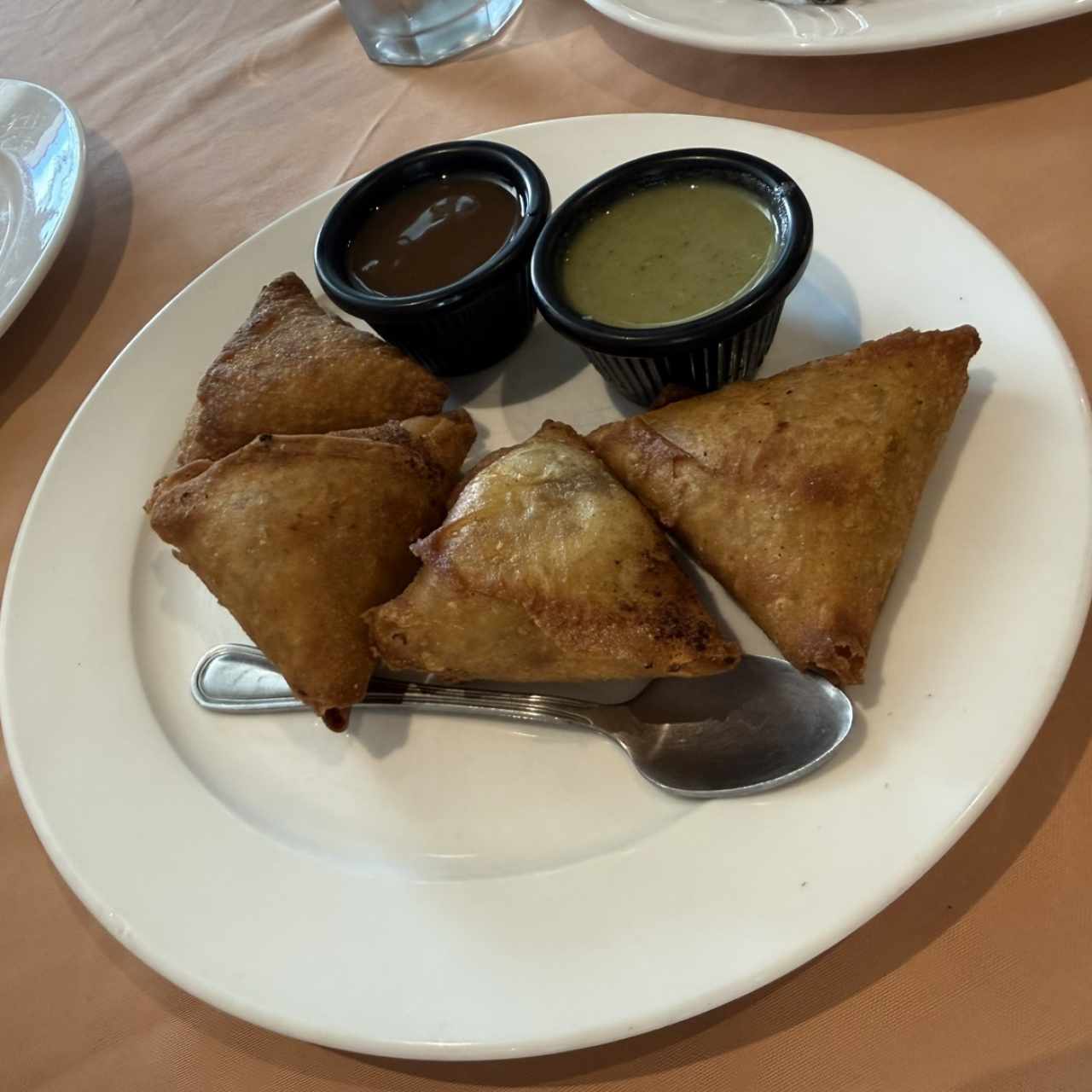 Vegetarian Appetizers - Samosas Chaat