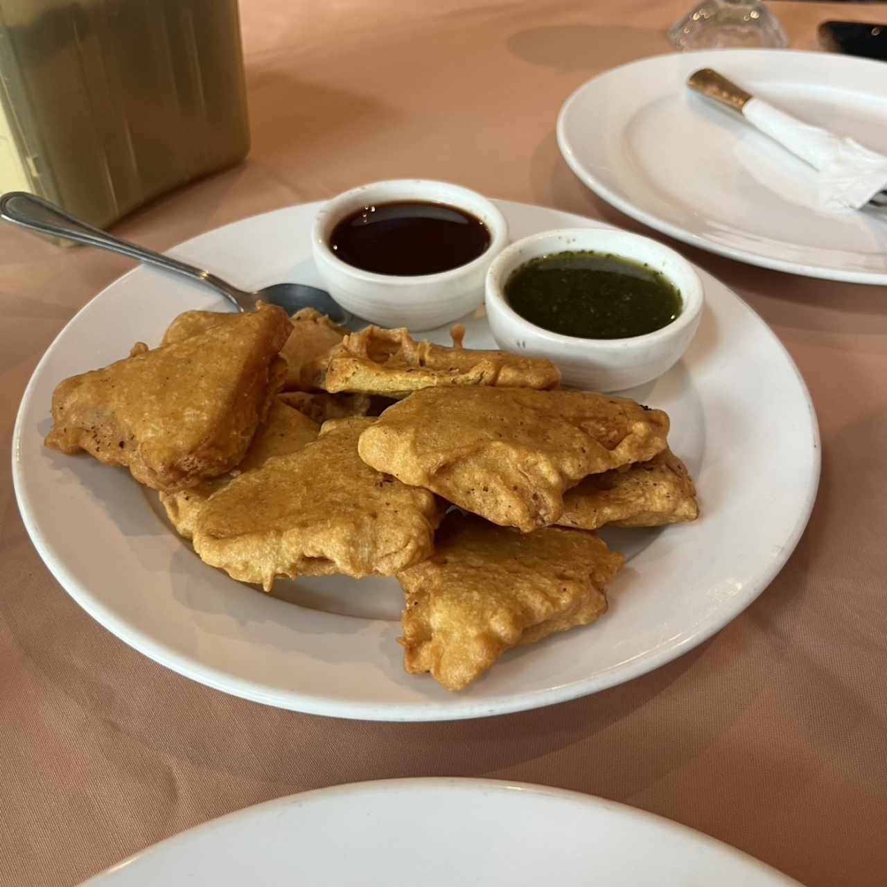 Vegetarian Appetizers - Paneer Pakora