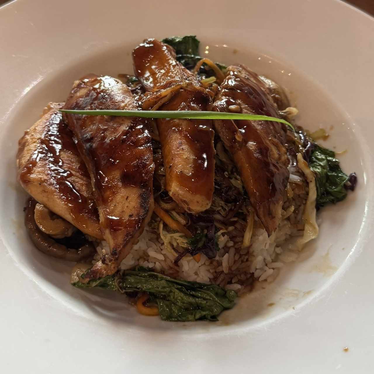 Teriyakis Deliciosos - Teriyaki de Pollo