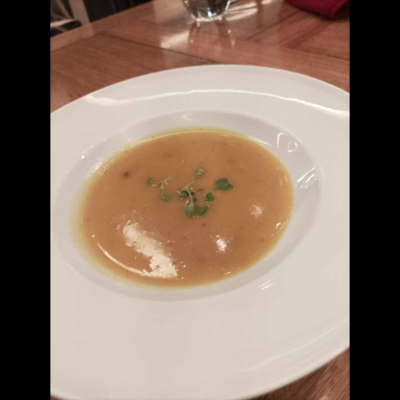 sopa