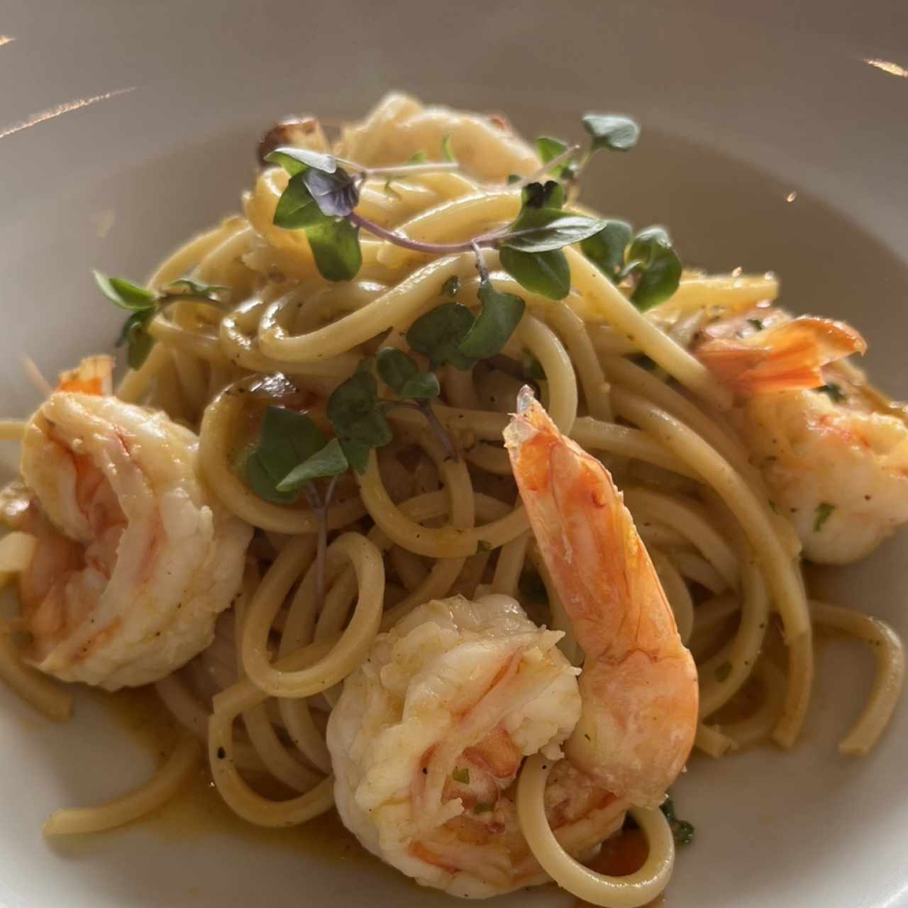 Pastas - Gambereti e Vodka