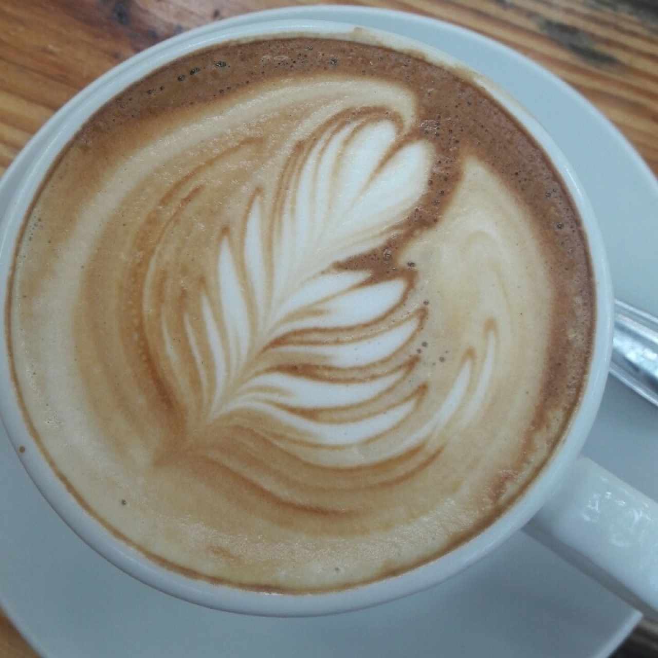 capuccino