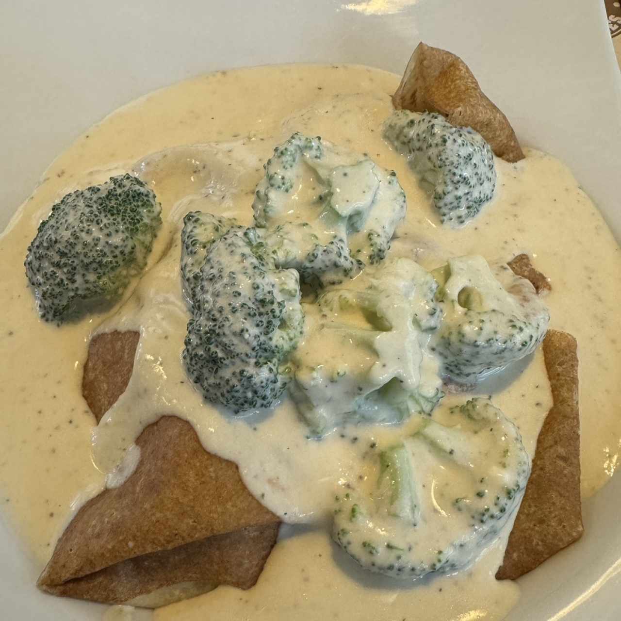 Pollo,Brocoli y Queso