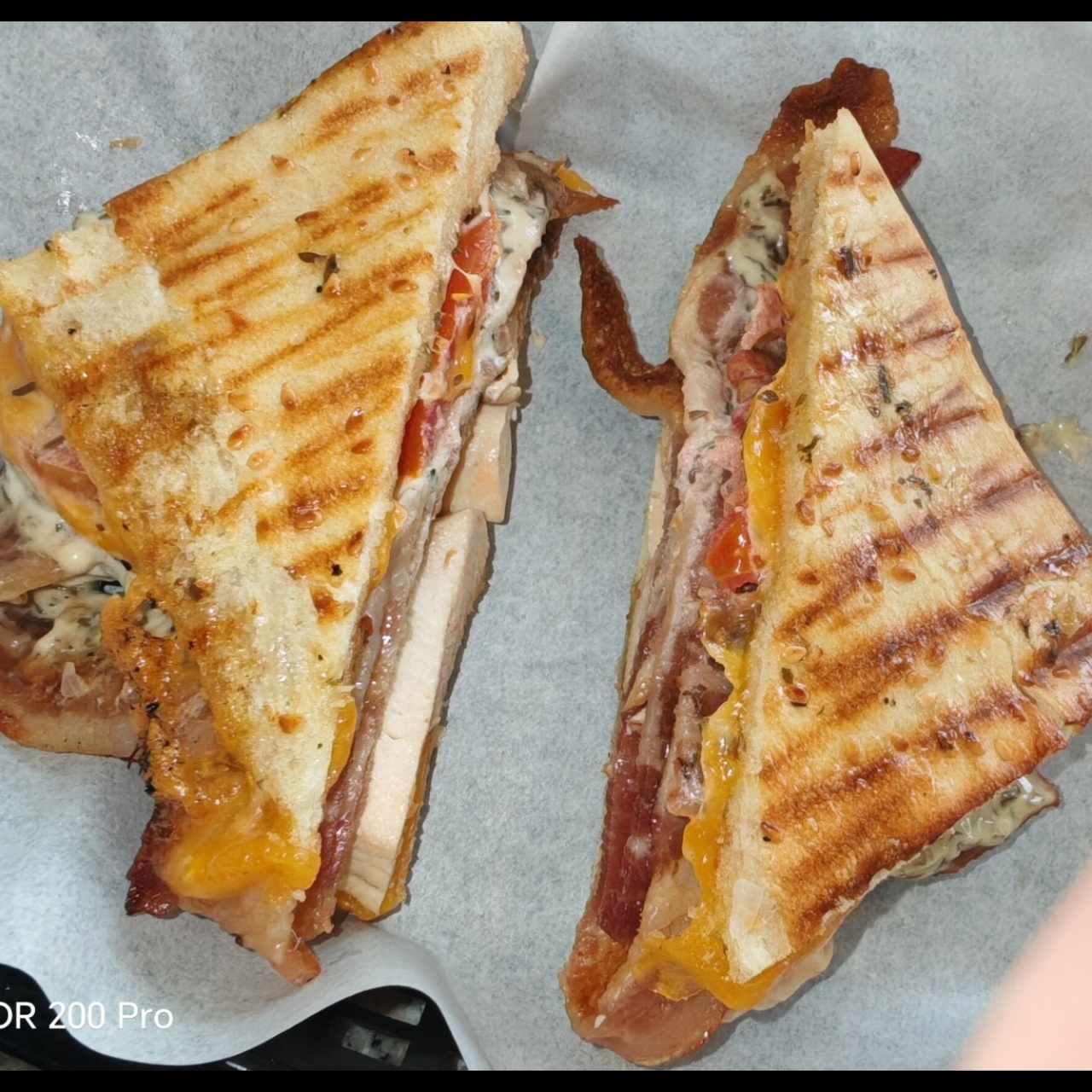 Panini Pollo