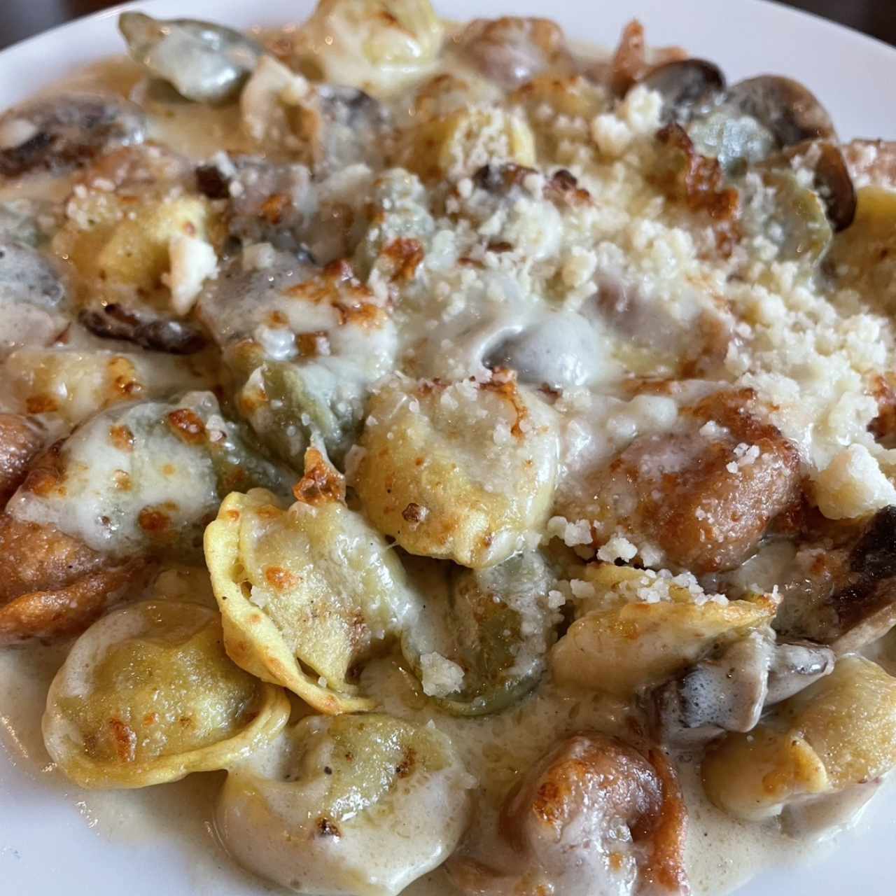 Tortellini tricolor relleno de queso