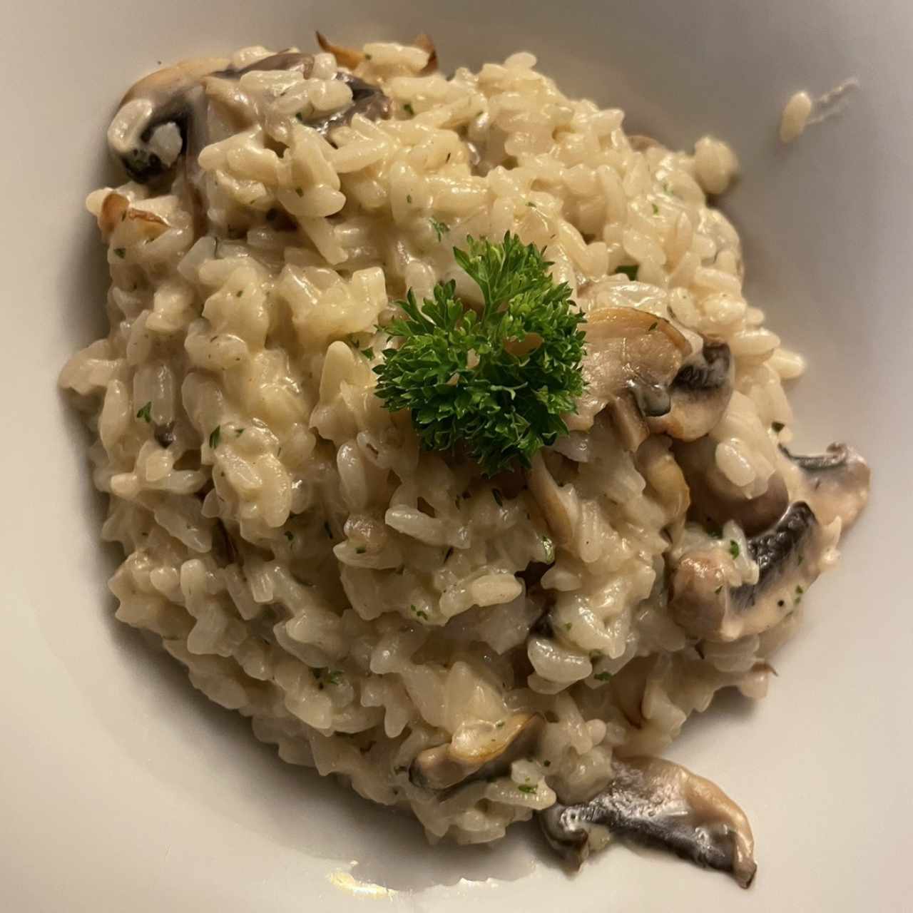 Risotto 