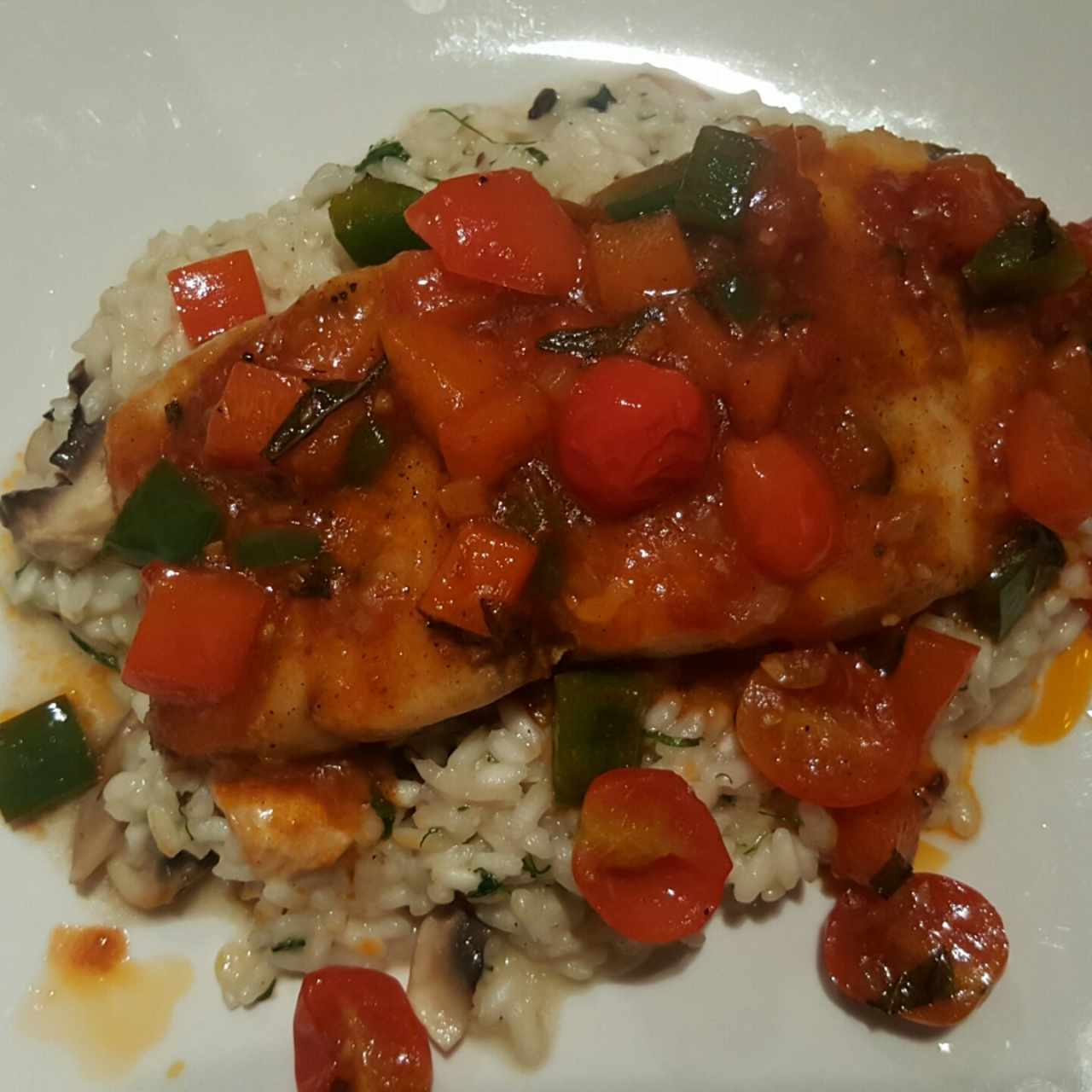 Corvina Pana- Costeña