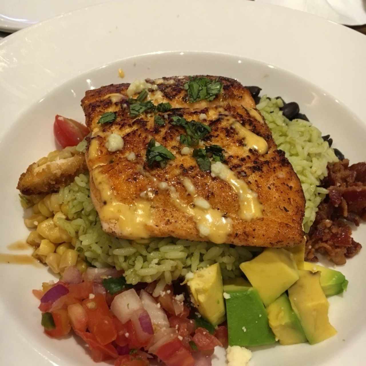 salmon