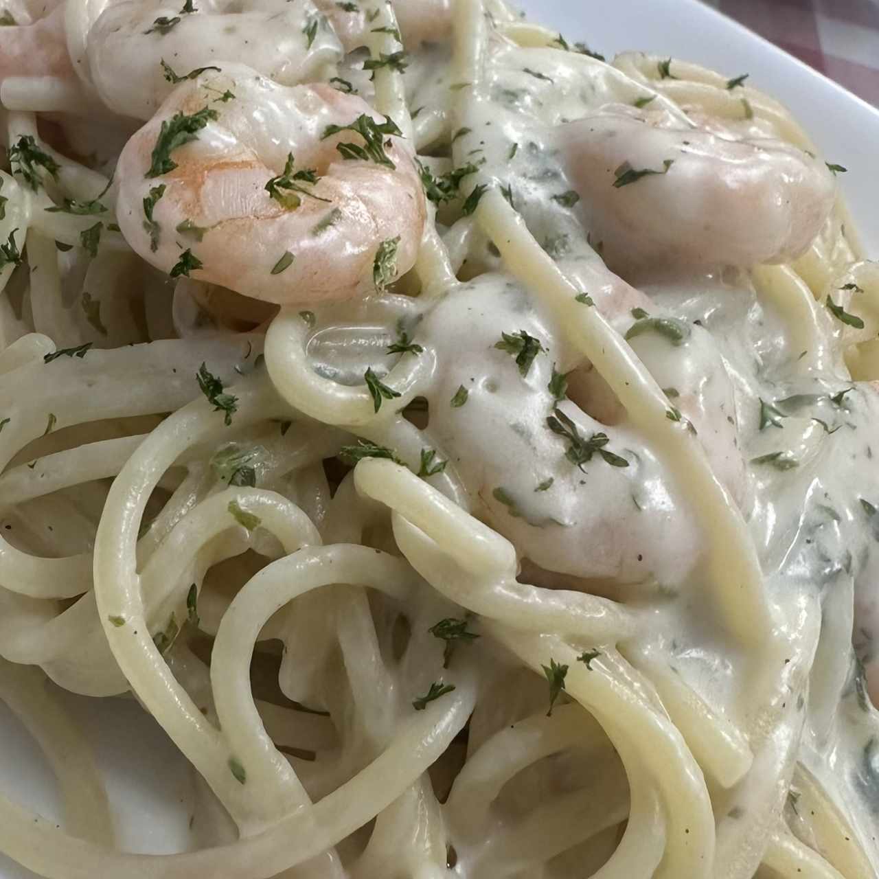 Espagueti con camoromes en Salsa Blanca