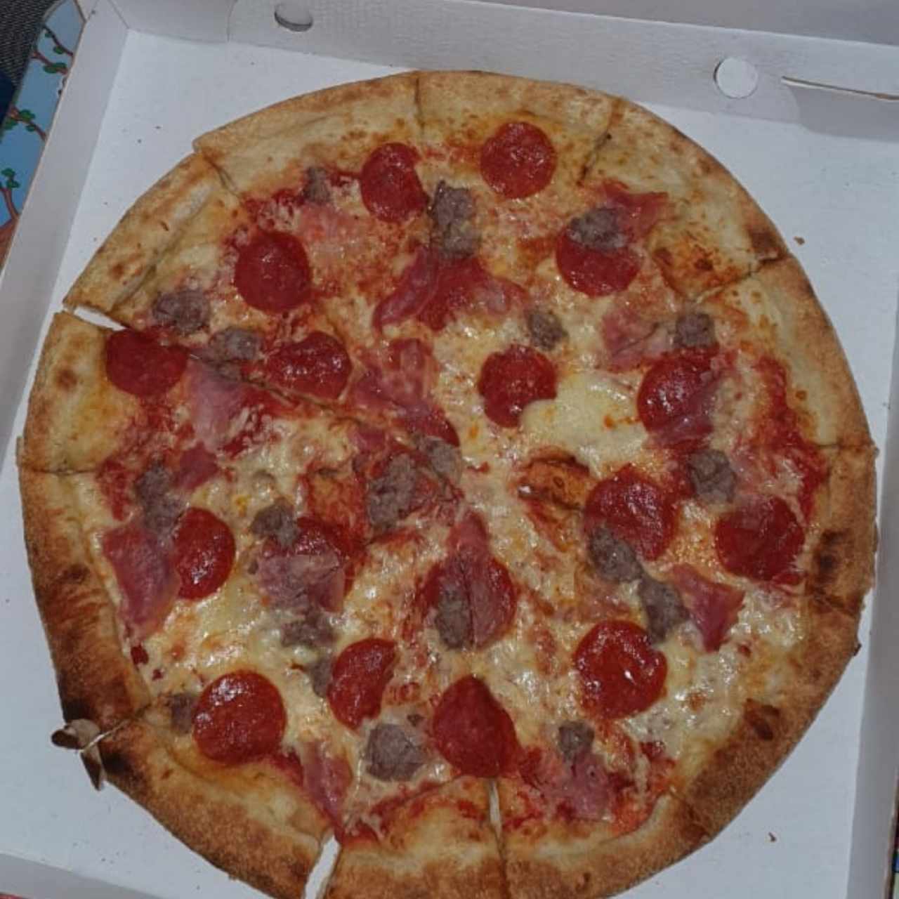 CARNIVORA