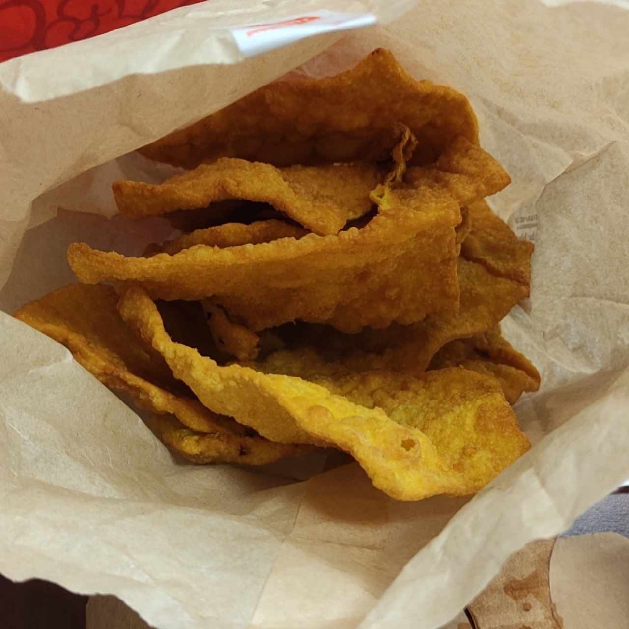 Delicias Complementarias - Wantón Frito