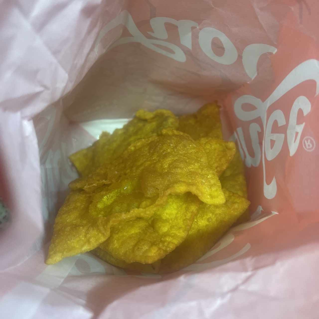 Delicias Complementarias - Wantón Frito