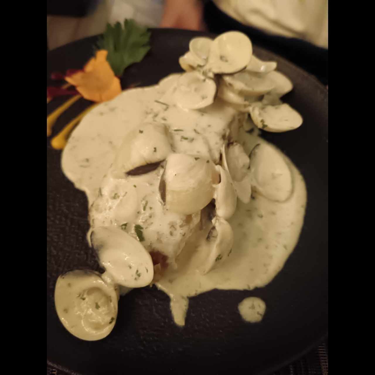 Corvina con Almejas Tío Pepe