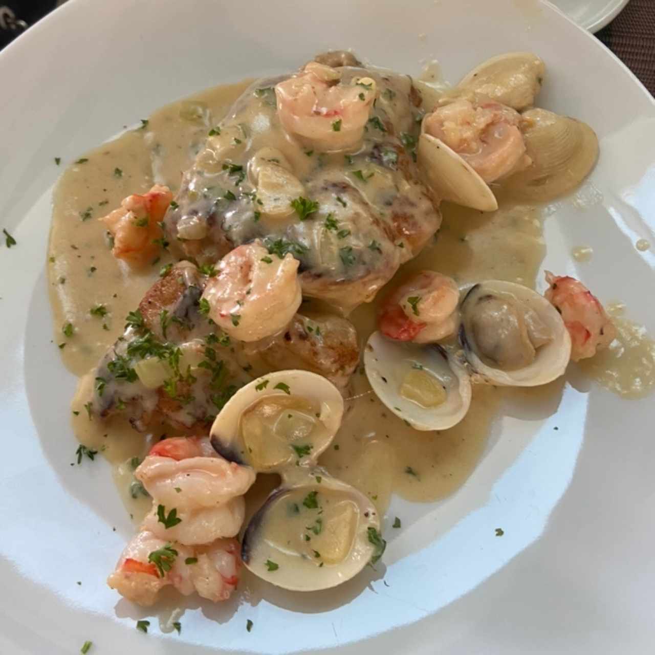 Corvina a la vasca