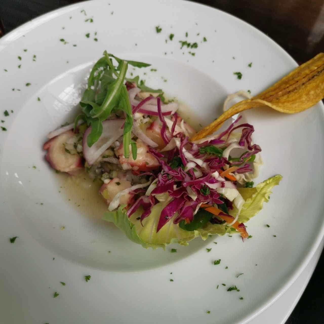 Entrantes fríos - Ceviche de pulpo