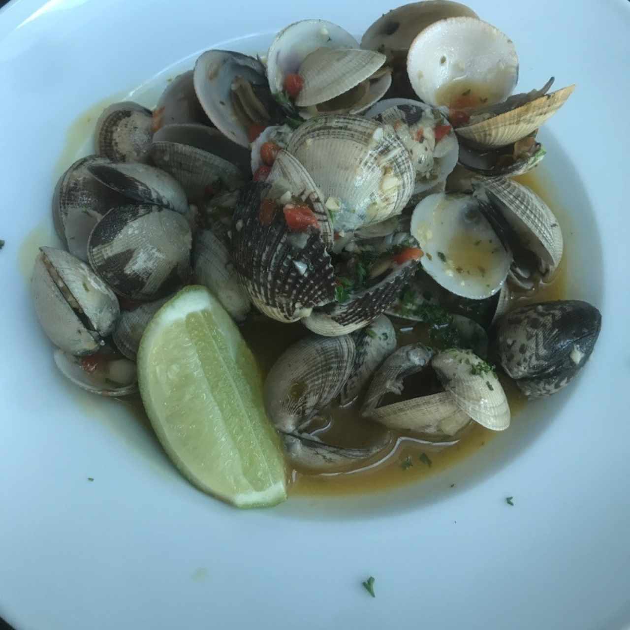 Entrantes calientes - Almejas al ajillo