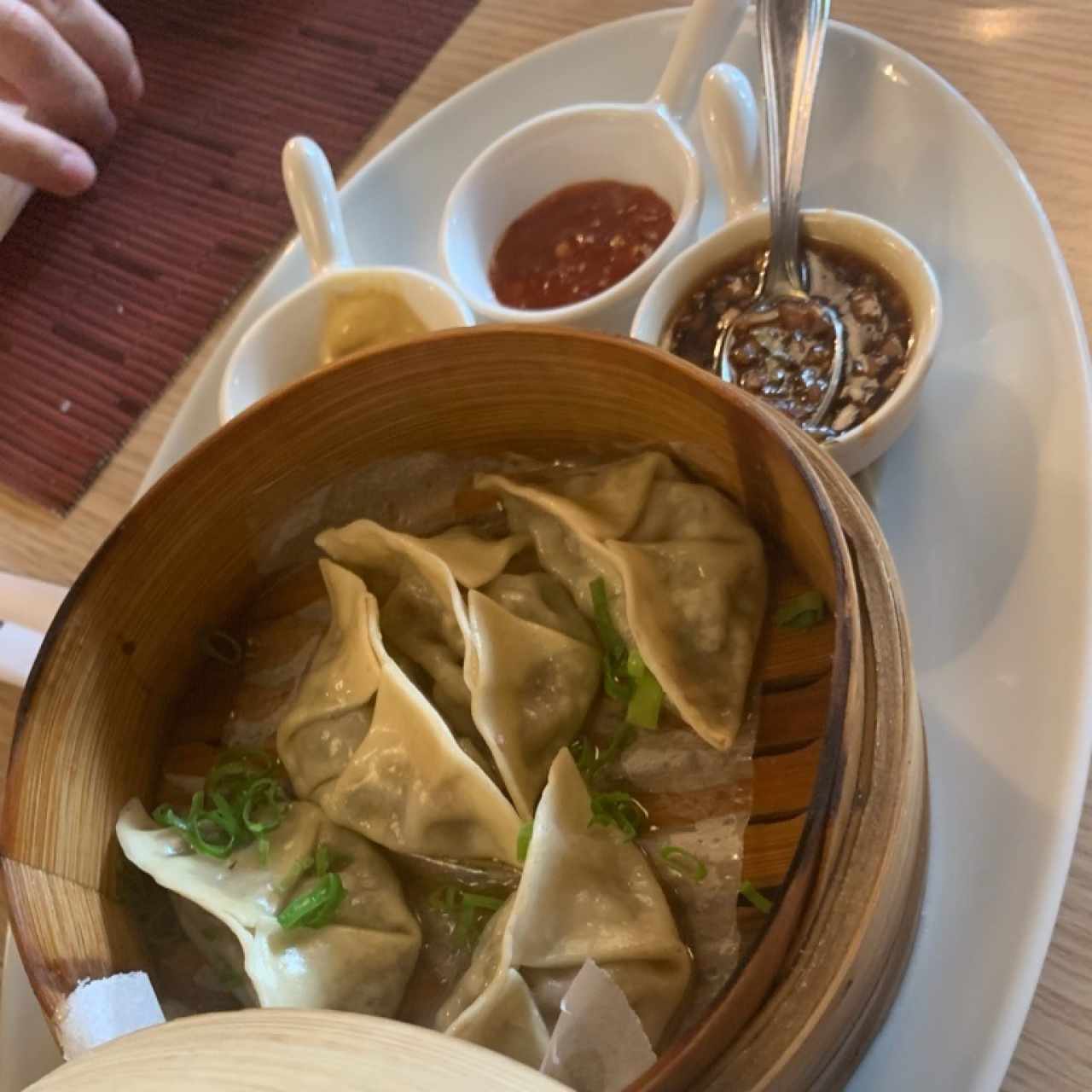 beef gyosas